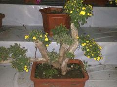 android_upload_pic-迎泽公园