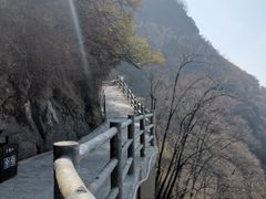 -少华山国家森林公园