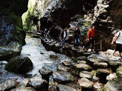 -牛背梁国家森林公园