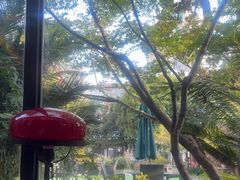 -大可堂普洱茶馆(襄阳南路馆)