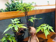 餐具摆设-十二舍·湯物素煮(江泰潤政店)