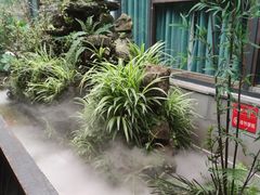 -鸡毛店·川菜(李家沱店)