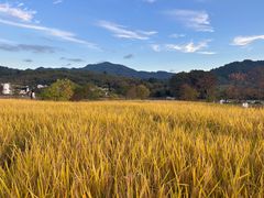 -塔川景区