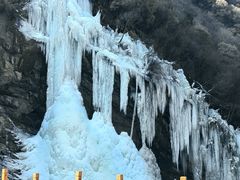 -少华山国家森林公园