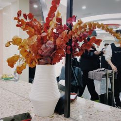 -IP SALON