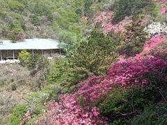 -木兰云雾山