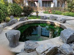 -中家鑫园温泉酒店鑫悦汤泉