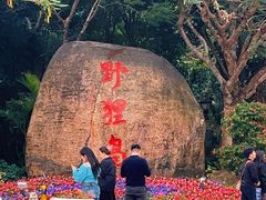 -野狸岛
