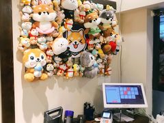 -逗柴咖啡屋·狗咖猫咖宠物桌游