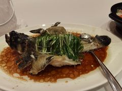 -海逸海鲜酒家(古北店)