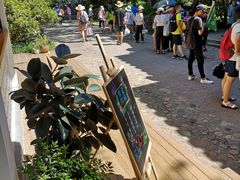 -杨小贤(武夷宫路店)