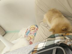 -怪兽屋·羊驼·猫咖·狗咖(俊华广场店)