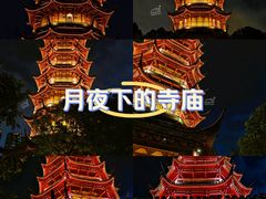 -红梅公园