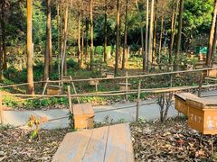-广州市白云山风景名胜区