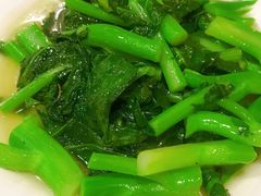 -听涛雅苑百味饺子老家菜馆