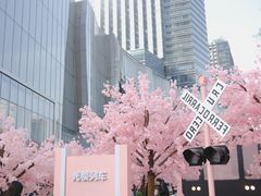 -金茂览秀城