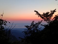 -老味道1992(武当山店)