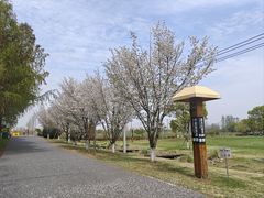 -嘉北郊野公园