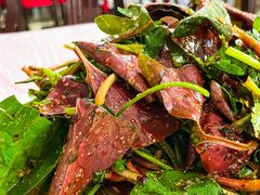 凉拌折耳根-盘龙黄鳝(盘龙居店)