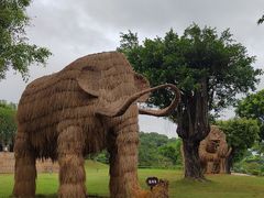 -深圳野生动物园