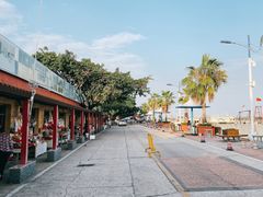 -大湾区中央湿地公园-十九涌