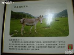 店里张贴画3-王胖子驴肉火烧(鼓楼店)