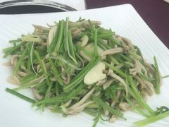 -万柳阁小馆·花园餐厅(龙潭湖店)