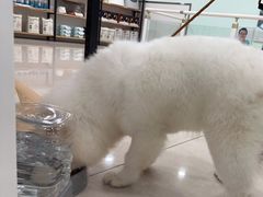 -佳雯宠物医院(四明中路分院)