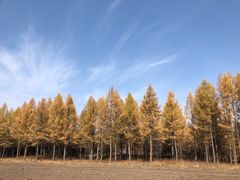 -塞罕坝国家级自然保护区