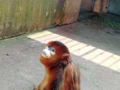 -宁波野生动物园