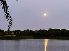 -东郊湿地公园