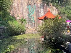 -莫干山风景区