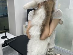 -爱洗澡的猫(天河路店)