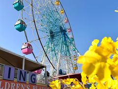 -巨鹏飞梦幻海岸