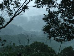 -海南热带雨林国家公园吊罗山景区