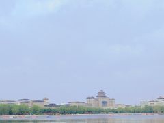 -莲花池公园