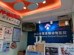 -全心全意连锁动物医院·特色中医诊疗(会城门分院)