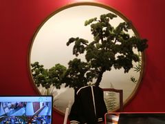 -真定郝家排骨(正定县总店)