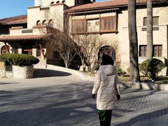-静园(和平区)