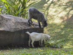 -福建鲤鱼洲酒店