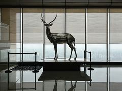 -北京柏悦酒店·锦庭餐厅Dining Room