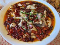 沸腾鱼-钦善斋(武侯祠店)