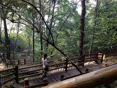 -天目湖山水园