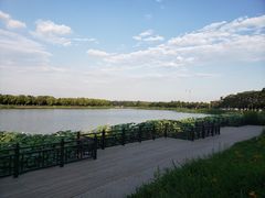 -素心小筑(后沙裕镇店)