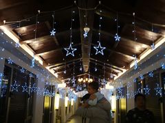 -浙江安吉JW万豪酒店·万豪中餐厅