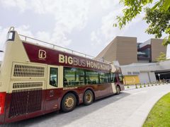 -Big Bus Tours 敞篷观光巴士