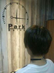 -Park Salon脏辫羽毛接发
