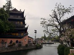 -康道天地(达邦协作广场店)