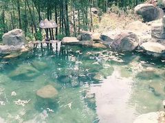 -藏龙百瀑风景区