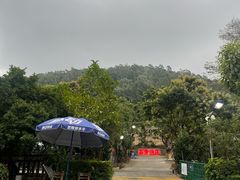 -荔景渔庄